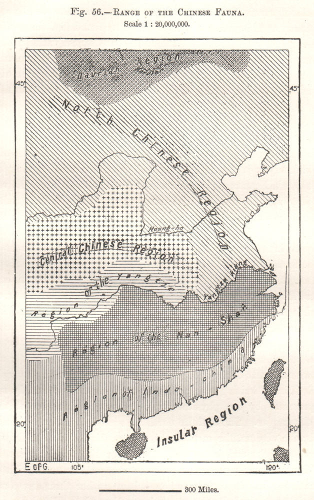 Range of the Chinese Fauna. China. Sketch map 1885 old antique plan chart